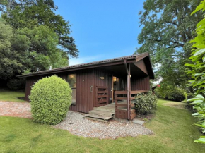 Pine Tree Lodge